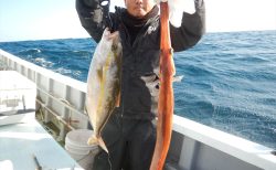 20251115 カンパチ・スマガツオetc 白浜渡船・ルアー・ジギング船魚拓号