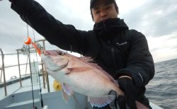 20251116 マダイetc 白浜渡船・ルアー・ジギング船魚拓号