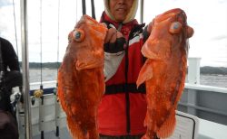 20251119　カンパチ・カンコetc　白浜渡船・ルアー・ジギング船魚拓号