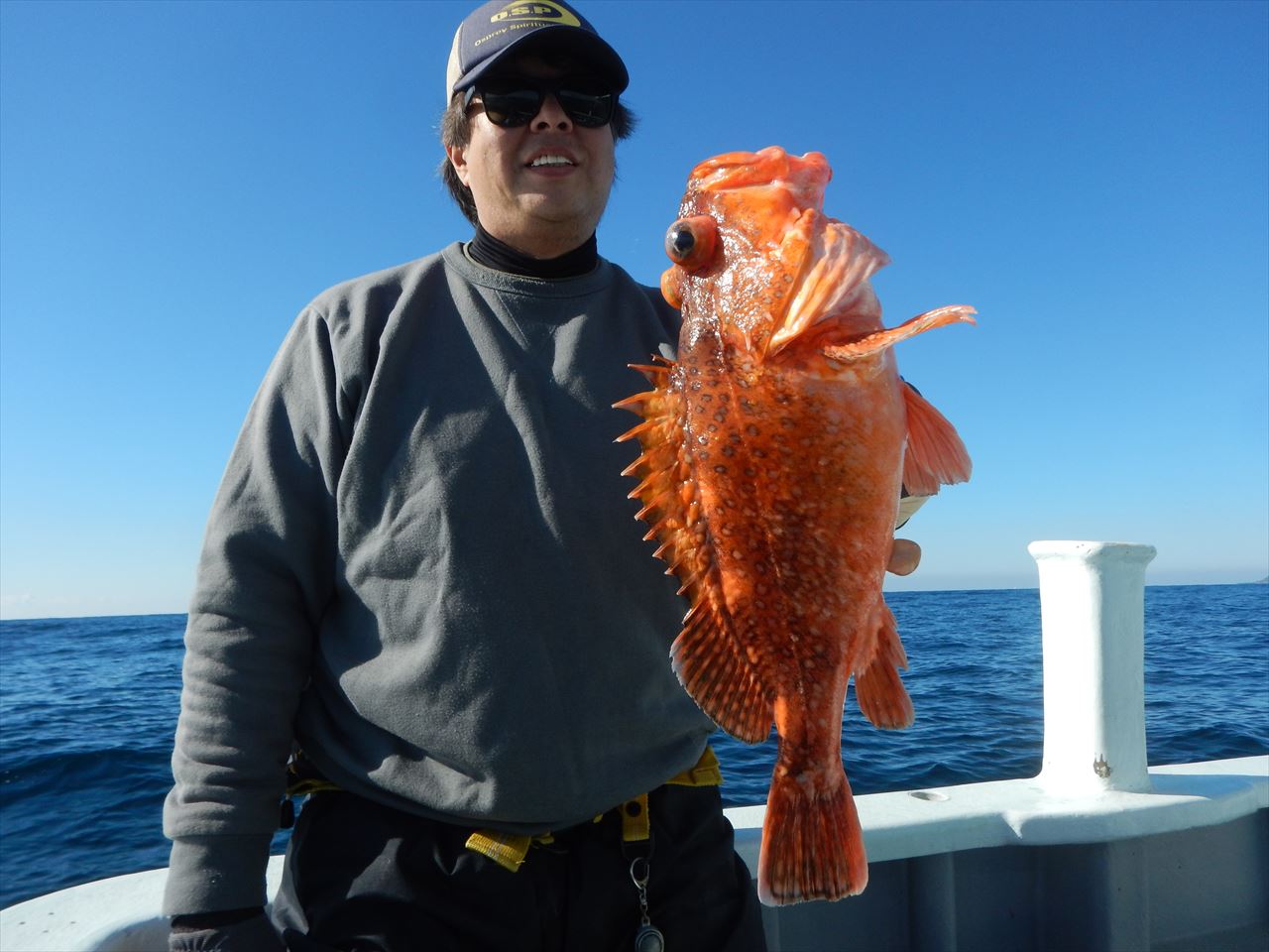 20251120 カンコetc釣れる 白浜渡船・ルアー・ジギング船魚拓号