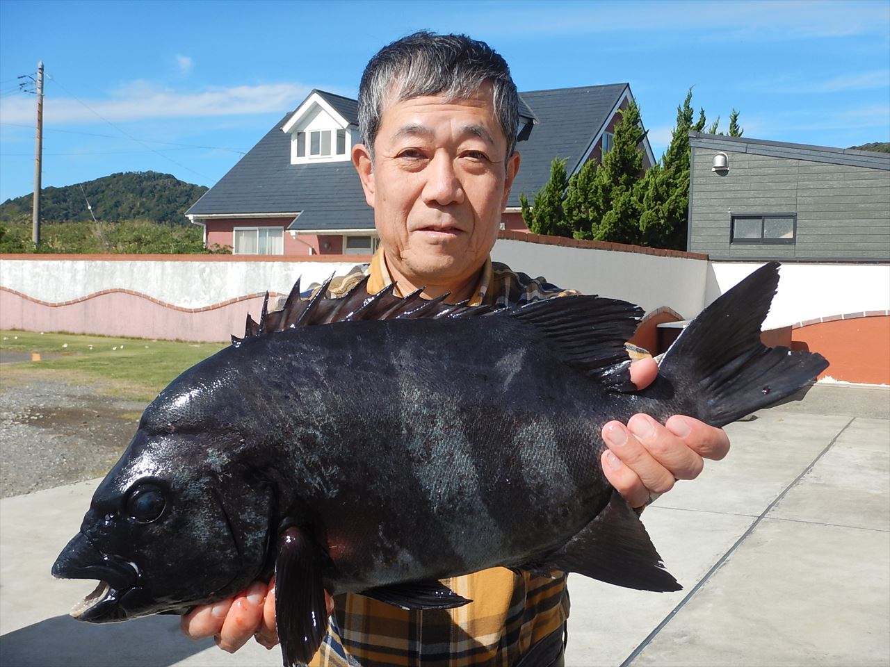 20251104 イシダイ・シマアジ・クロダイ釣れる 白浜渡船