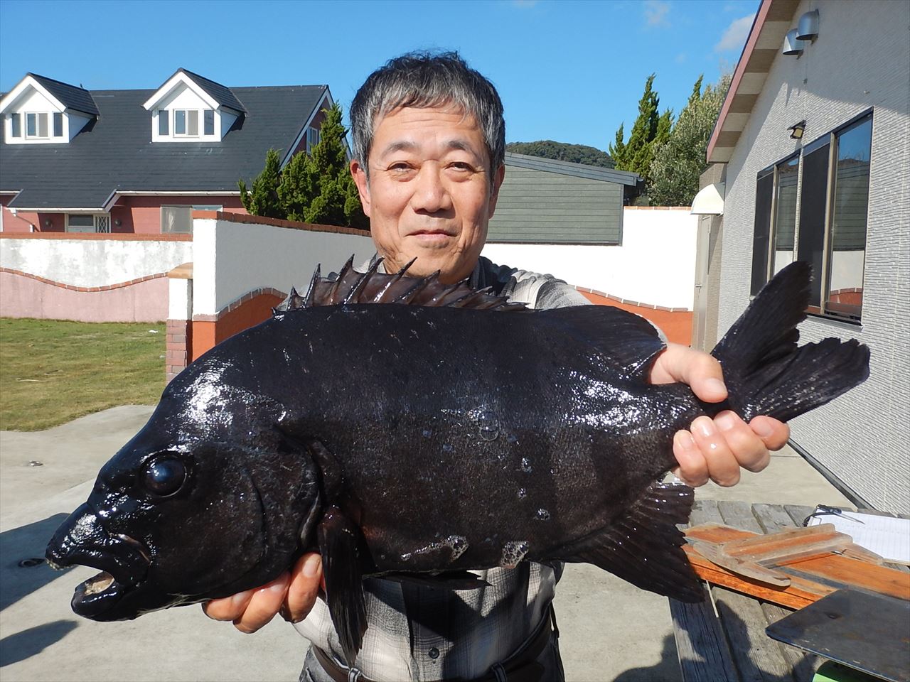 20251124 イシダイ釣れる　白浜渡船