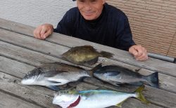 20251125 クロダイ　メジナ　イナダ釣れる　白浜渡船