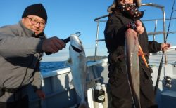 20251206 カンパチ/アオハタ etc 白浜渡船・ルアー・ジギング船魚拓号