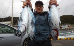 2025120　カンパチ　スマガツオetc　白浜渡船・ルアー・ジギング船魚拓号