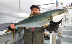 20251219　ワラサ　カンパチetc　白浜渡船・ルアー・ジギング船魚拓号　