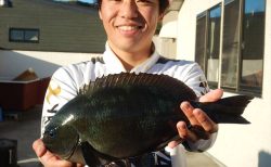 20251229 メジナ・クロダイ　白浜渡船