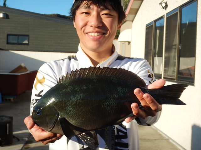 20251229 メジナ・クロダイ　白浜渡船