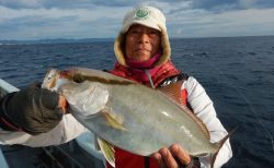 20251211 カンパチ 白浜渡船・ルアー・ジギング船魚拓号