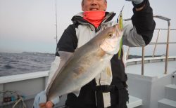 20251217　カンパチ　マダイetc　白浜渡船・ルアー・ジギング船魚拓号