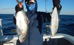 20251218　カンパチetc　白浜渡船・ルアー・ジギング船魚拓号