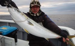 20251227 ワラサ釣れる　白浜渡船・ルアー・ジギング船魚拓号