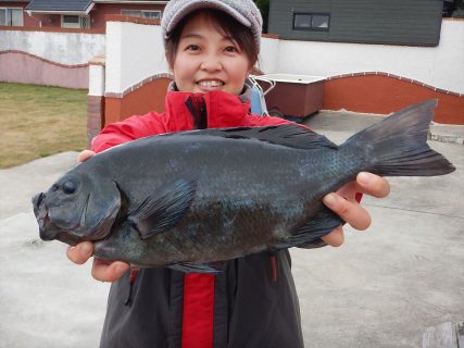 20251227　メジナ、クロダイ釣れる　白浜渡船