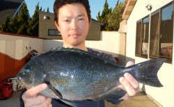 20251228 メジナ・クロダイ釣れる　白浜渡船