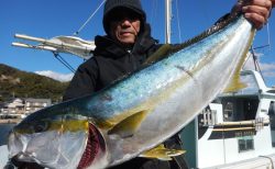 20260112 初釣り ヒラマサ ワラサ釣れる 白浜渡船・ルアー・ジギング船魚拓号