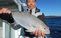 20250103 カンパチetc 白浜渡船・ルアー・ジギング船魚拓号