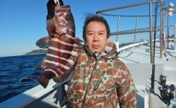 20260106　マハタ、アオハタ etc　白浜渡船・ルアー・ジギング船魚拓号