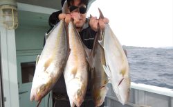 20260107 ワラサ・カンパチ釣れる　白浜渡船・ルアー・ジギング船魚拓号