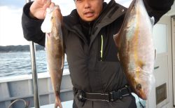 20260109 カンパチetc　白浜渡船・ルアー・ジギング船魚拓号