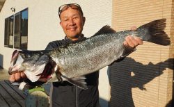 20260106 ヒラスズキ釣れる　白浜渡船