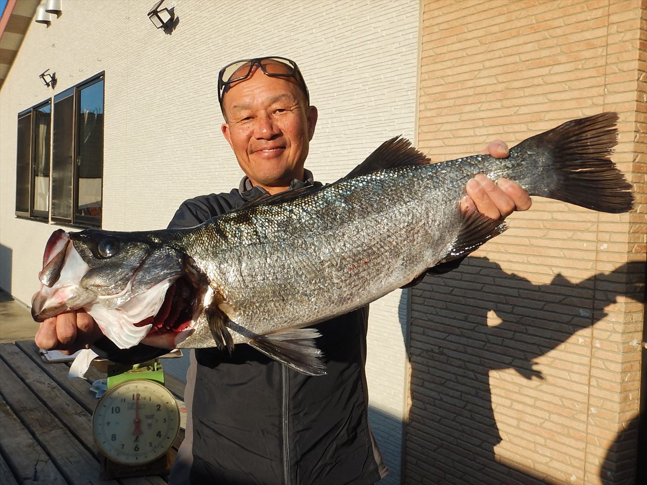 20260106 ヒラスズキ釣れる 白浜渡船