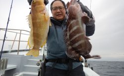 20260207 ヒラメ・マハタ・アオハタetc　白浜渡船・ルアー・ジギング船魚拓号