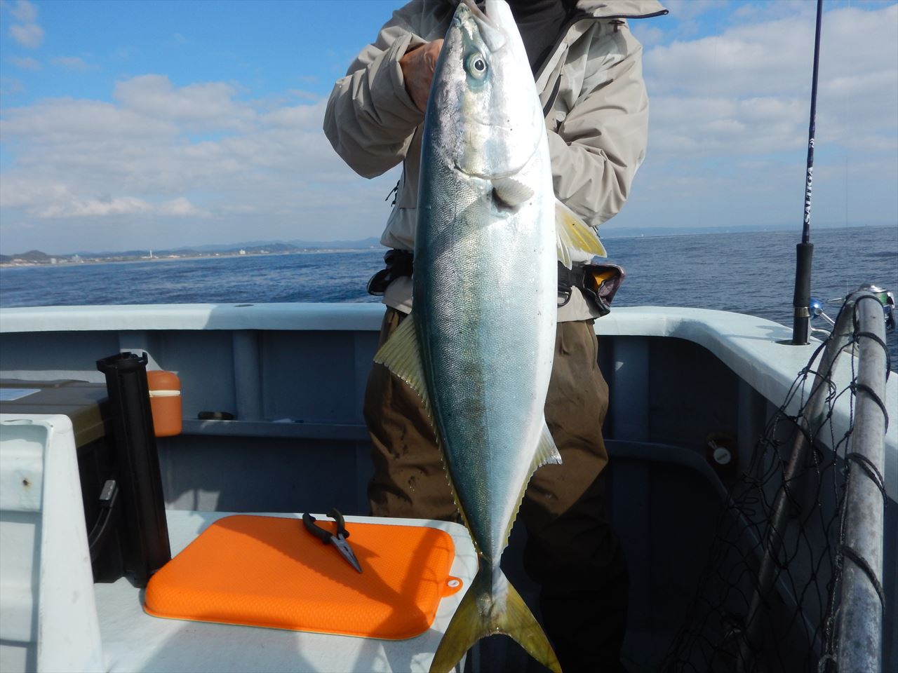 20260214　ワラサ　マハタetc　白浜渡船・ルアー・ジギング船魚拓号