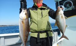 20260218　カンパチ&ヒラメ　白浜渡船・ルアー・ジギング船魚拓号