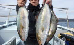 20260220　カンパチ　白浜渡船・ルアー・ジギング船魚拓号