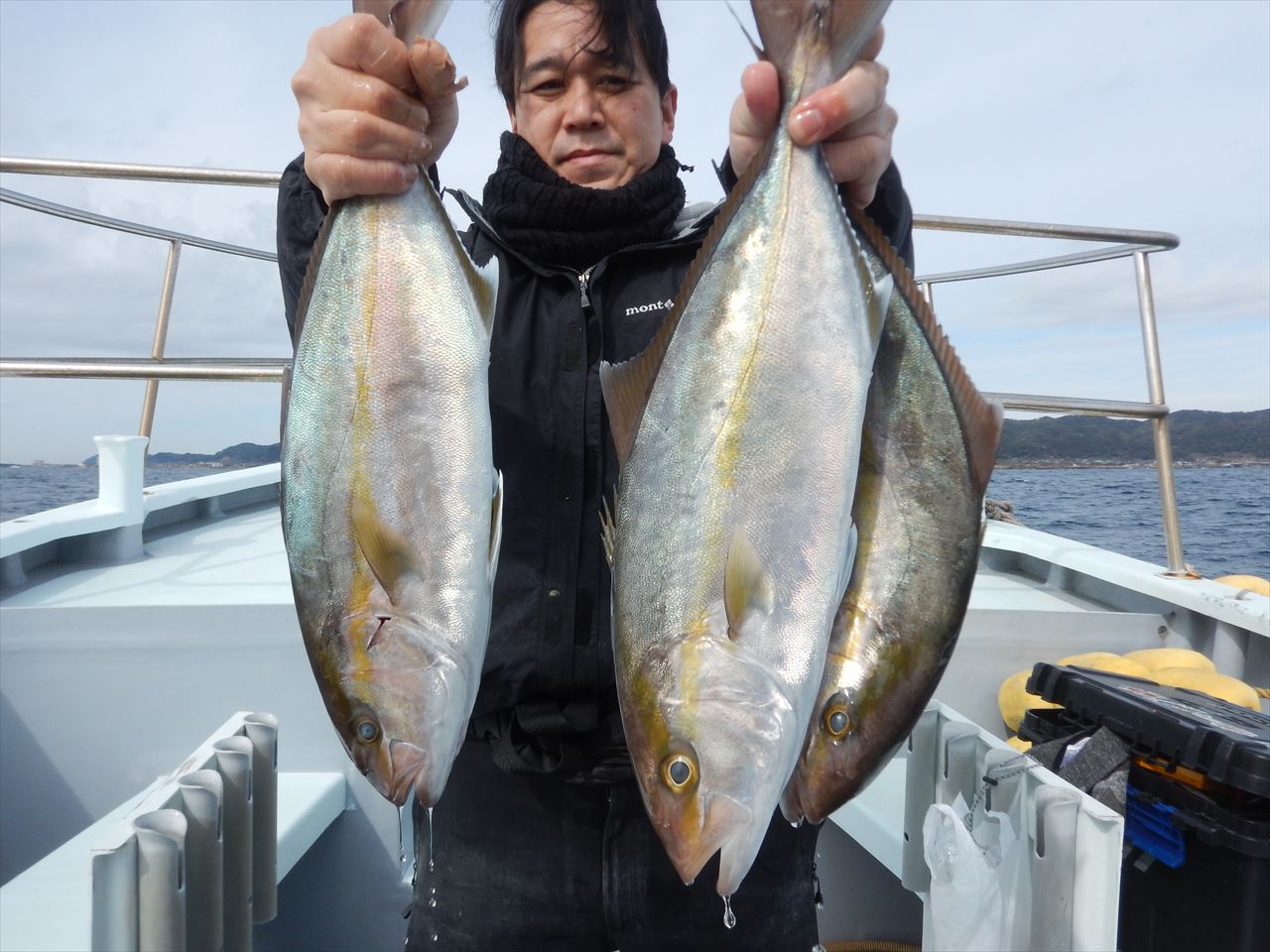 20260220　カンパチ　白浜渡船・ルアー・ジギング船魚拓号