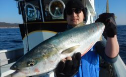 20260222 ワラサ(3.4キロ) 白浜渡船・ルアー・ジギング船魚拓号