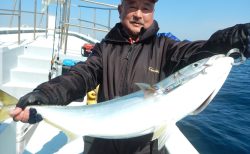 20260228 ワラサ(5.5キロ)、カンパチetc 白浜渡船・ルアー・ジギング船魚拓号