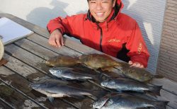 20260131　メジナ釣れる　白浜渡船