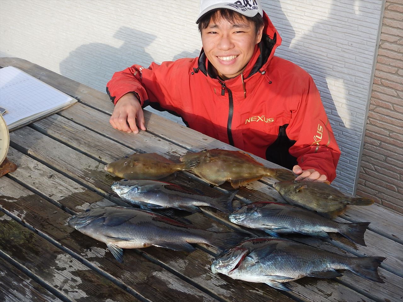 20260131 メジナ釣れる 白浜渡船