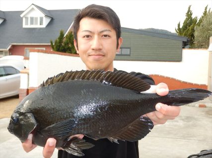 20260214 メジナ 40㎝　1㌔　35.5㎝ 釣れる　白浜渡船