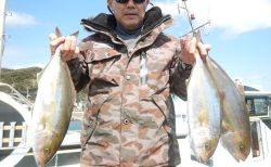 20260301 カンパチ アオハタ・マハタetc 白浜渡船・ルアー・ジギング船魚拓号