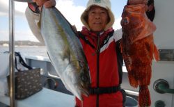 20260309 カンパチ/アオハタ etc 白浜渡船・ルアー・ジギング船魚拓号