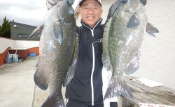 20260306 良型メジナ・クロダイ釣れる 白浜渡船