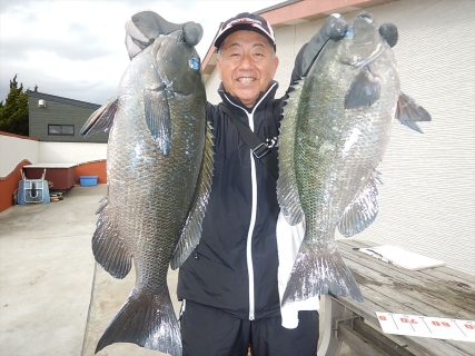 20260306 良型メジナ・クロダイ釣れる　白浜渡船