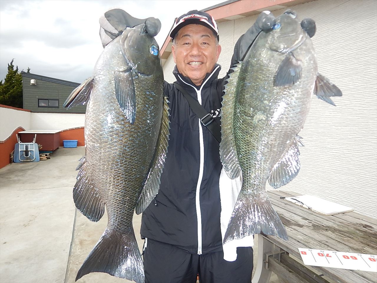 20260306 良型メジナ・クロダイ釣れる　白浜渡船