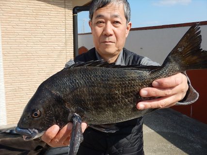 20260312 メジナ・クロダイ45ｃｍ釣れる　白浜渡船