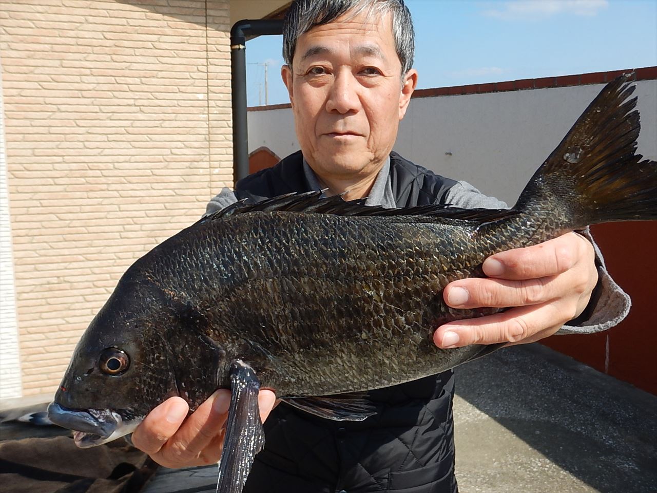 20260312 メジナ・クロダイ45ｃｍ釣れる　白浜渡船