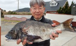 20260318 クロダイ 48.5㎝　1.7㌔釣れる　白浜渡船