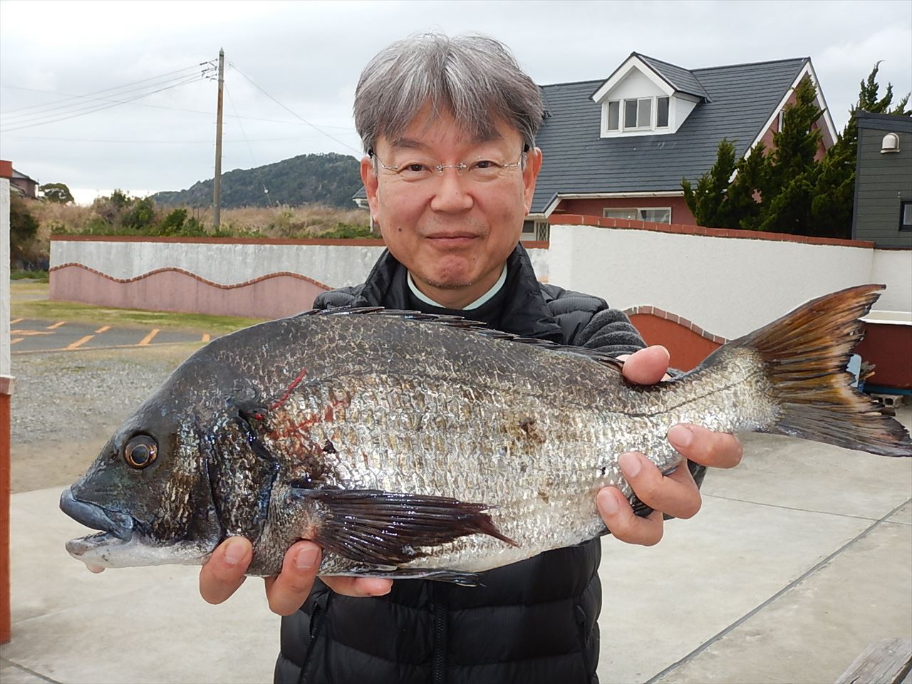 20260318 クロダイ 48.5㎝　1.7㌔釣れる　白浜渡船