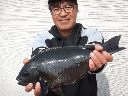 20260322 　メジナ 40㎝　1.25㌔ノッコミ～♪　白浜渡船