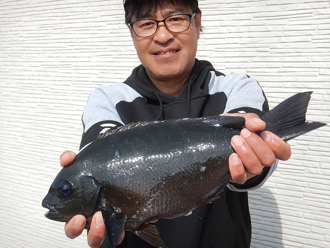 20260322 　メジナ 40㎝　1.25㌔ノッコミ～♪　白浜渡船