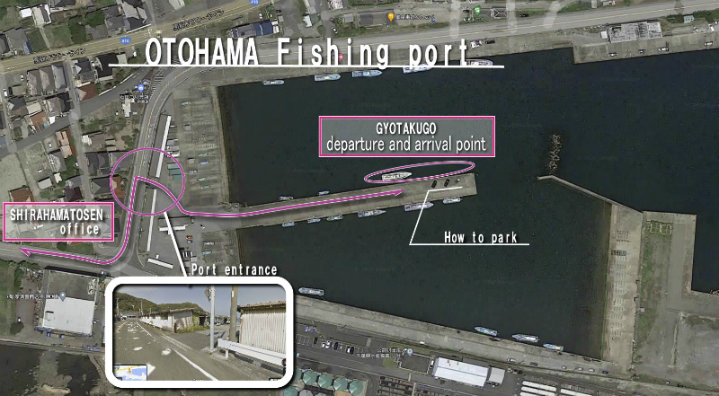 Information on the Otohama fishing port